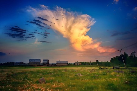 What Are The Shooting Techniques For Wide-Angle Lenses? How Is It Different From A Standard Lens?